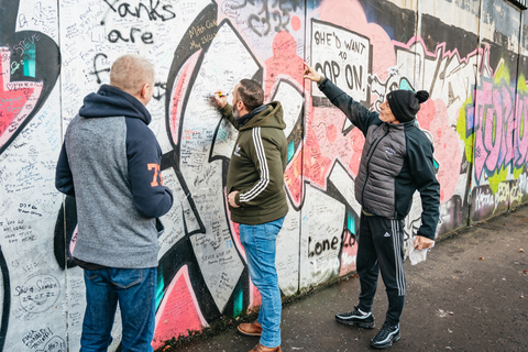 Belfast: 1,5 uur durende privérondleiding door de stad