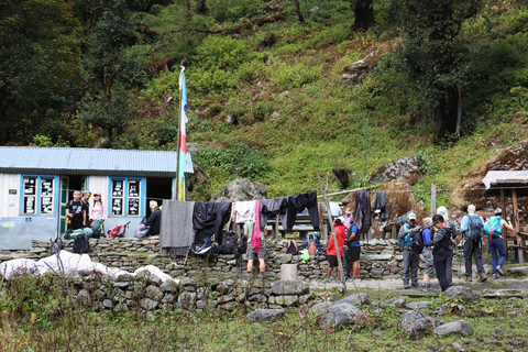 Journey Through Langtang: A 6-Day Trek with Meals