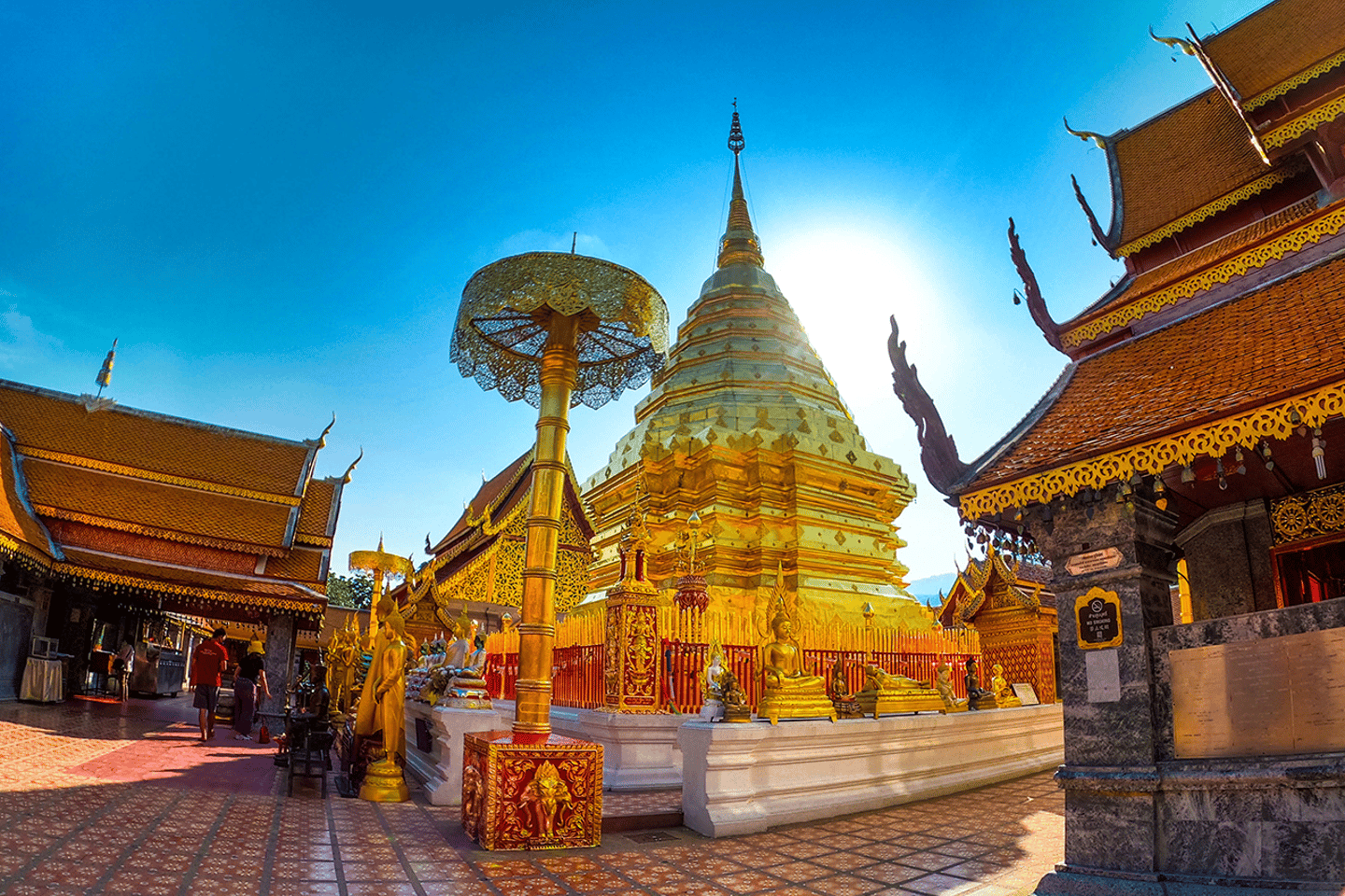 non touristy things to do in chiang mai | marvel at the golden buddha in wat prathat doi kham