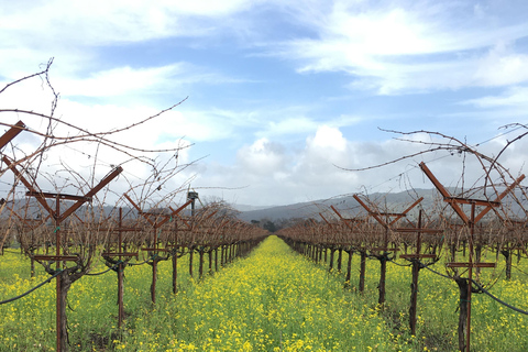 USA/California/Napa: Private Wine Tour for up to 6 guests
