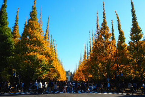 Tokyo: Golden Ginkgo Avenue Autumn Leaves Walk