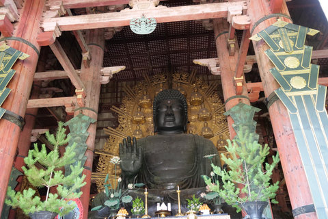 Nara : visite d&#039;une demi-journée au patrimoine de l&#039;UNESCO et visite à pied de la culture locale