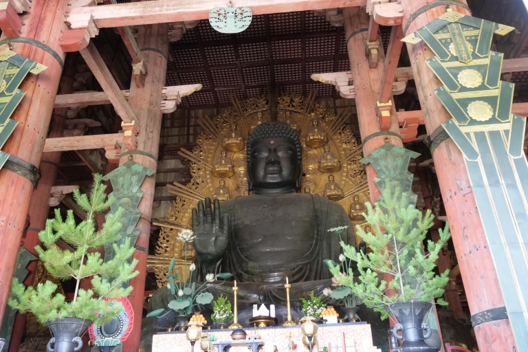 Nara : visite d'une demi-journée au patrimoine de l'UNESCO et visite à pied de la culture localeNara : demi-journée de visite à pied du patrimoine de l'UNESCO et de la culture locale