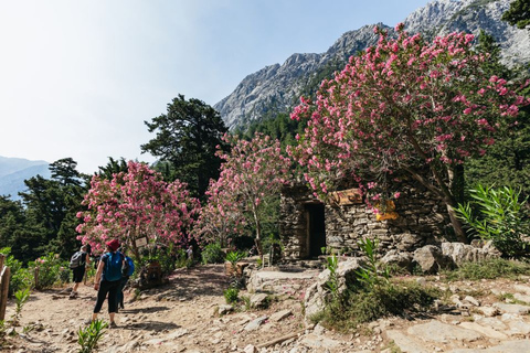 Da Heraklion, Agia Pelagia, Malia: Escursione alle Gole di SamariaPrelievo da Agia Pelagia, Lygaria e Fodele