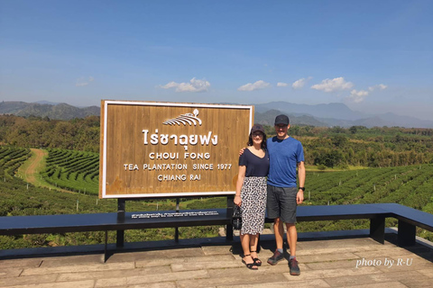 7 Wonders of Chiang Rai: Temples, Tea, and Golden Triangle