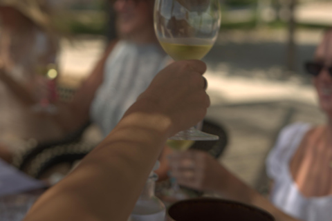 From Alicante: 2 Premium Wine Tastings and Tapas