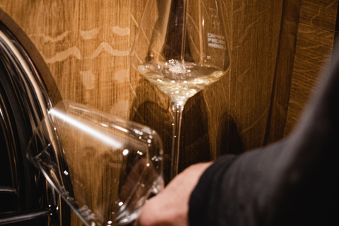 Winery tour and wine tasting