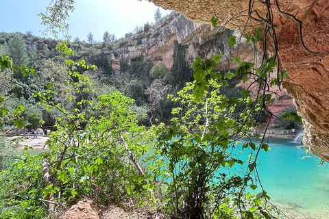 Da Valencia: Degustazione di vini e visita alla Cueva de Turche