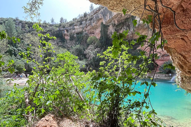 Da Valencia: Degustazione di vini e visita alla Cueva de Turche