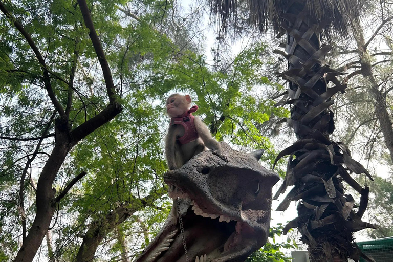 Side/Manavgat: Green Canyon, Manavgat Falls, and Animal Park