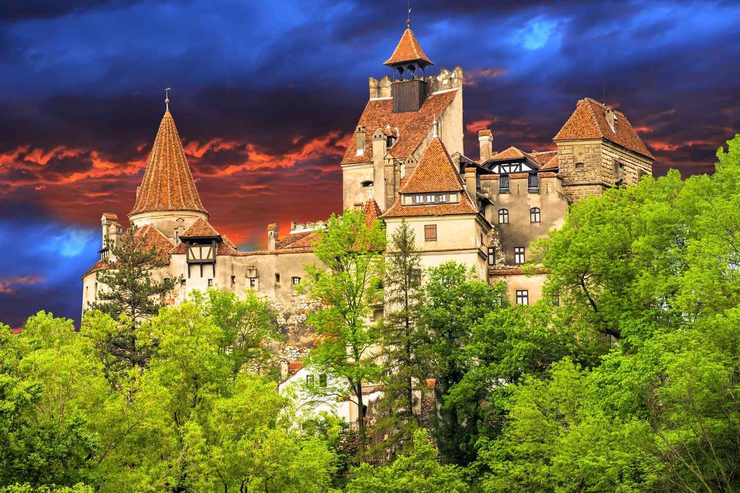 Bucharest : Dracula's Castle, Peles Castle & Brasov Old Town