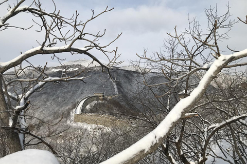 Tour de 1 día por la Gran Muralla de Mutianyu y la Ciudad Prohibida de Pekín