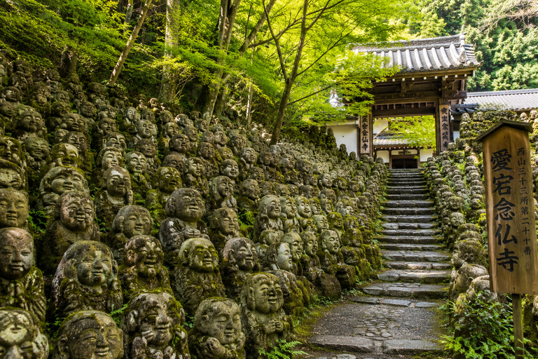 Kyoto: Kyoto Private & Customizable Tour with English Guide