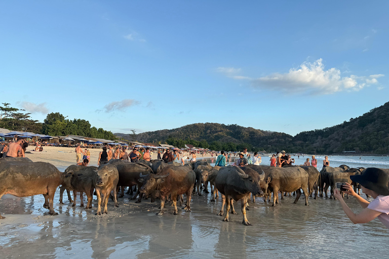 Lombok: Weaving, South Beach, Sunset with Buffalo Tour Lombok: Weaving, South Beach, Sunset with Buffalo Tour