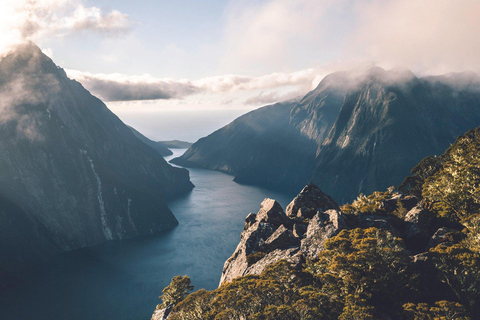 From Queenstown: Milford Sound Business Class with Cruise Milford Sound Business Class