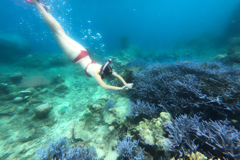 Excursão exclusiva de pesca e snorkeling em Lombok através de 4 Gilis