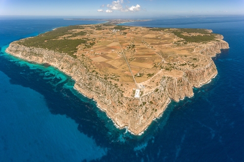 Ibiza: Crucero a Formentera con Bebidas, Comida y Snorkel