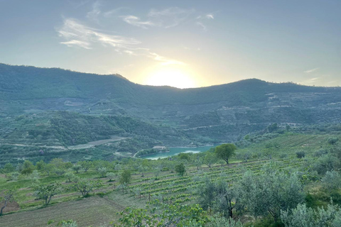 From Berat: Local Winery Tour with Tastings & Snacks