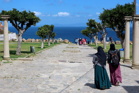 De Tanger: Cavernas de Hércules e Cap Spartel com passeio de camelo