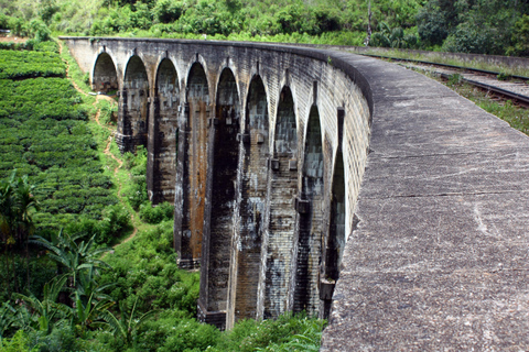 Explore o charme de Ella: Traslado de Tuk Tuk até a Nine Arch Bridge