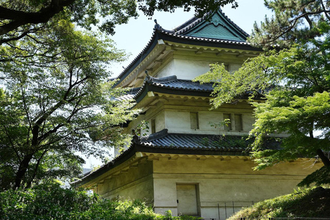 Tokyo: Edo Castle and Imperial Palace Guided Walking Tour Japanese guide