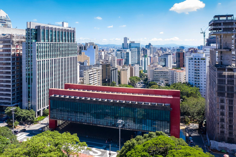 Best of Sao Paulo Highlights Private Guided Tour By Car 3-hour: Old Town Tour & Transport