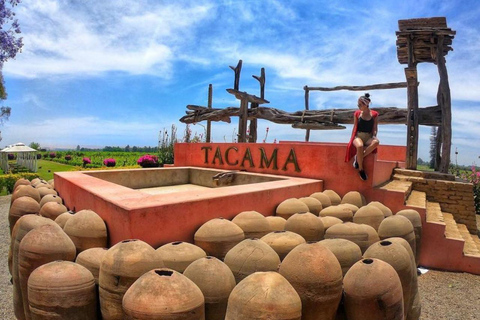 Ica: Tour de Pisco | Tacama, Arrabal, Bodega Lovera | Você pode fazer um tour de Pisco em Ica.