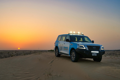 Dubaj: Nocna safari z noclegiem w luksusowej kopule i obserwacją gwiazdWycieczka prywatnym luksusowym domem