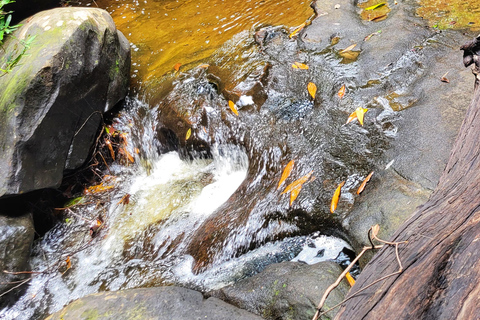 Upptäck Banteay Srei, Kbal Spean och äventyr i lokal by