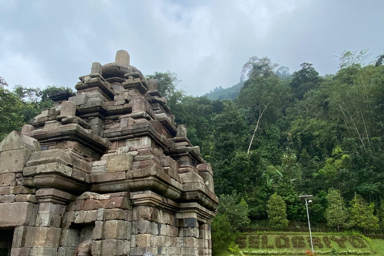 Selogriyo Temple with rice terrace trekking