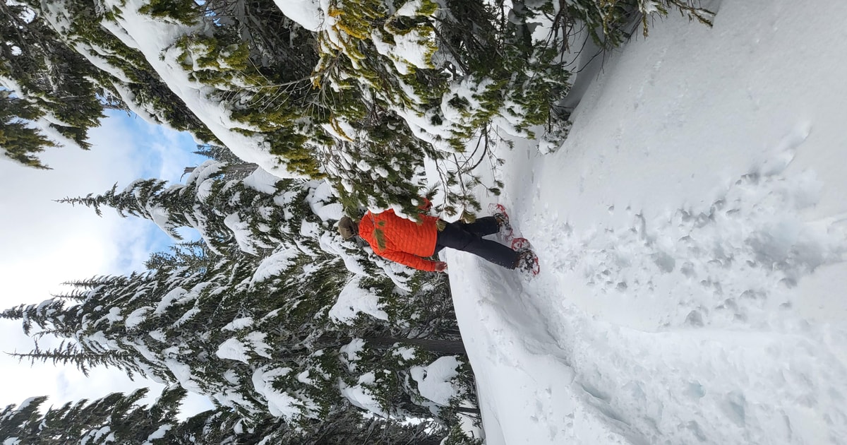 Vancouver Island Alpine Snowshoeing Tour GetYourGuide