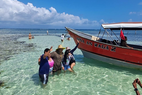 San Blas: La Casa de Papel Island Snorkeling, Paddle & Lunch