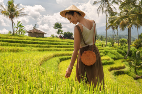Bali: Nungnung Waterfall, Jatiluwih & Ulun Danu Temple Tour Small-Group Full-Day Tour – Excluding Tickets