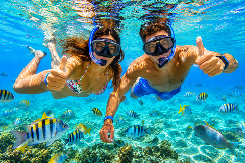From Punta Cana: Catalina Island with Lunch & Transportation SNORKELING PACK