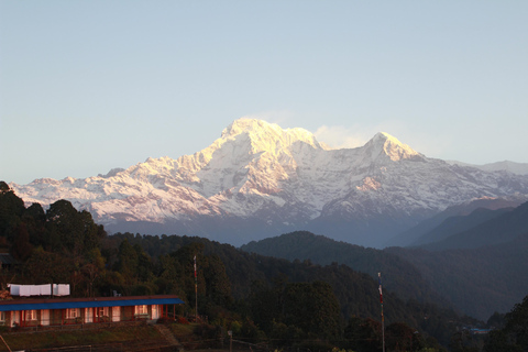 From Pokhara: Day Hiking Australian Camp & Dhampus