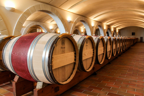 Saint Emilion Excursão de meio dia de Ebike e vinho com piquenique