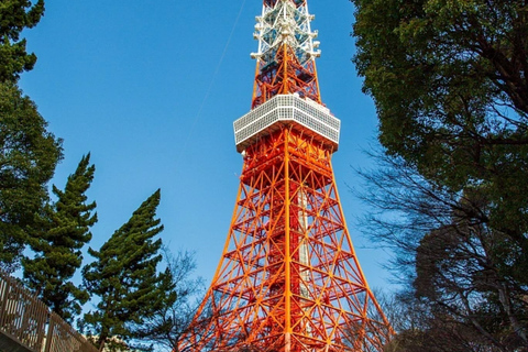 Ganztägige private Tour durch Tokio mit englischsprachigem Fahrer