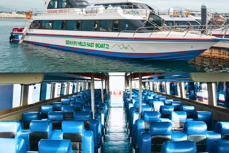 From Bali: Nusa Penida Snorkeling and Sightseeing Day Trip