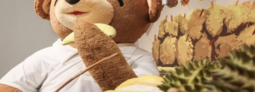 Penang : billet d'entrée au musée de Teddyville