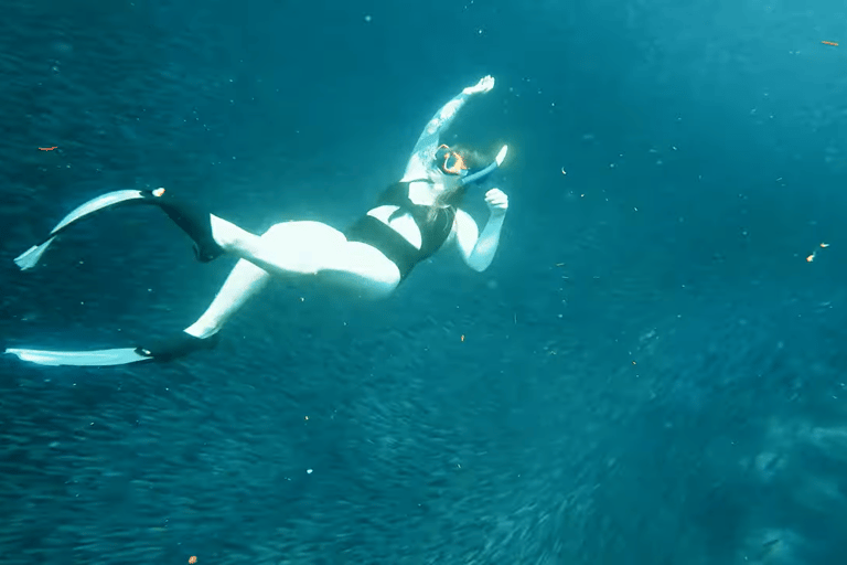 Cebú:Excursión en grupo con tiburón ballena, cascada y carrera de sardinas+Comida