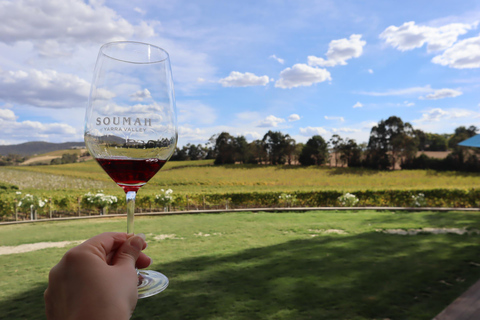 Yarra Valley Day Tour with Redwoods, Wine and Wildlife Wildlife Tour Option