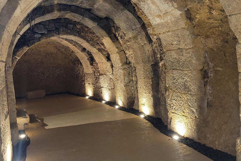 Laguardia: degustazione privata e invecchiamento dei vini di Bodegas 1808 - Casa GarabiteroLaguardia: degustazione privata dei vini di Bodegas 1808 - Casa Garabitero