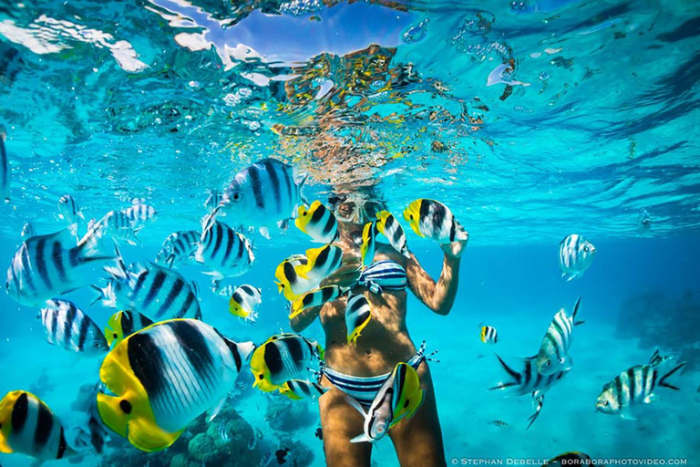 Santa Marta : Taganga Beach Snorkeling Tour avec transfert