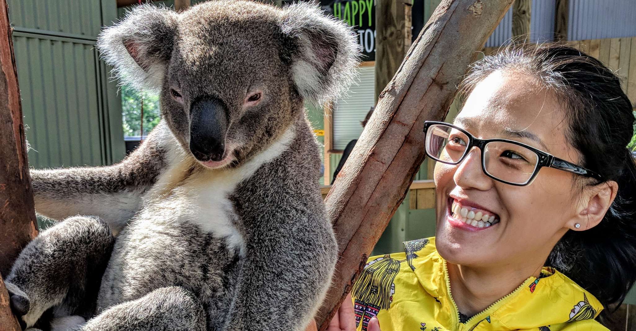 Sydney, Private Wildlife, Cascate e Wine Tour - Hizvo