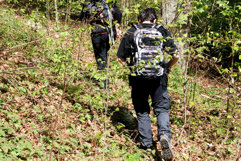Poiana Brașov: setas silvestres y secretos del bosque