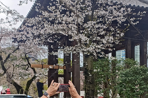 Tokyo: Highlights Walking Tour from Tsukiji to Tokyo Tower Tokyo: Tsukiji Market to Tokyo Tower 4hrs Walking Tour