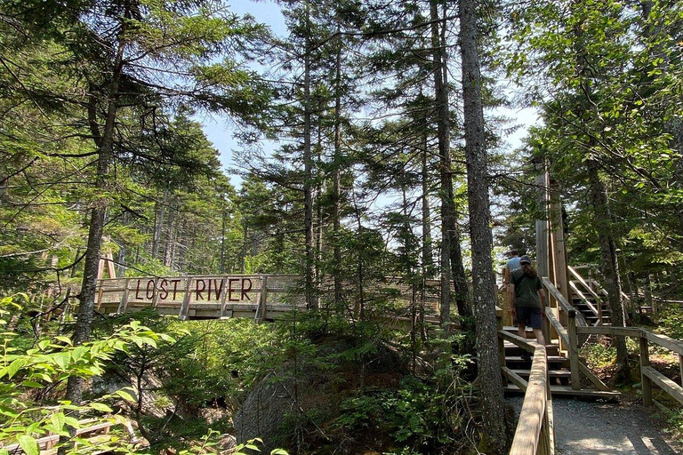 Boston Fall Day Trip to White Mountains, Lost River Gorge