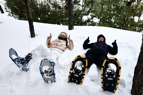 Levi: Snowshoe Survival Experience