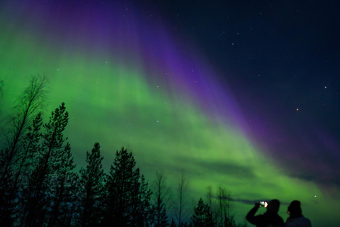 Rovaniemi: Aurora Hunt with 95% Success Rate, 4 people group Rovaniemi: Aurora Hunt with 95% Success Rate, PRIVATE