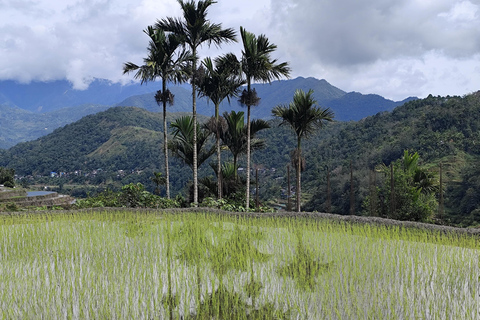 Banaue Rice Terraces and Sagada Tour